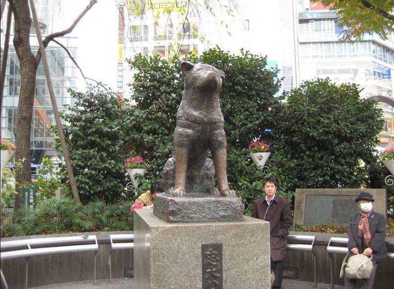 La historia real de Hachiko, el legendario perro símbolo de la lealtad
